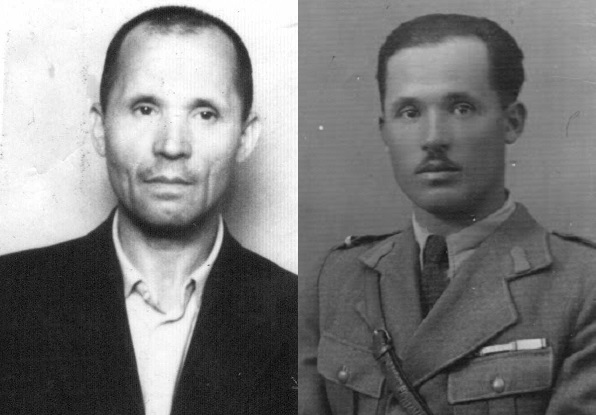 Image result for Costache CaragaÅ£Ä